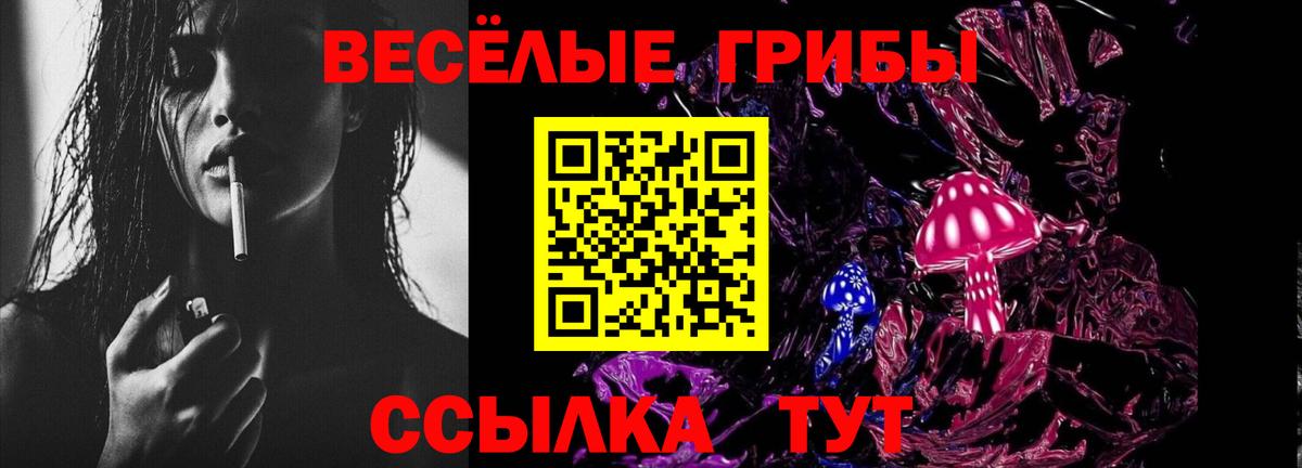 Новочебоксарск  Галлюциногенные грибы Psilocybe  Вход с VPN 
